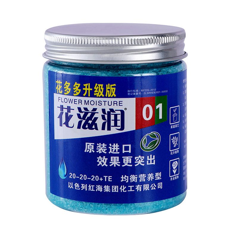 Elemental Bonsai Garden - Navigateur soluble dans l'eau pour plantes,