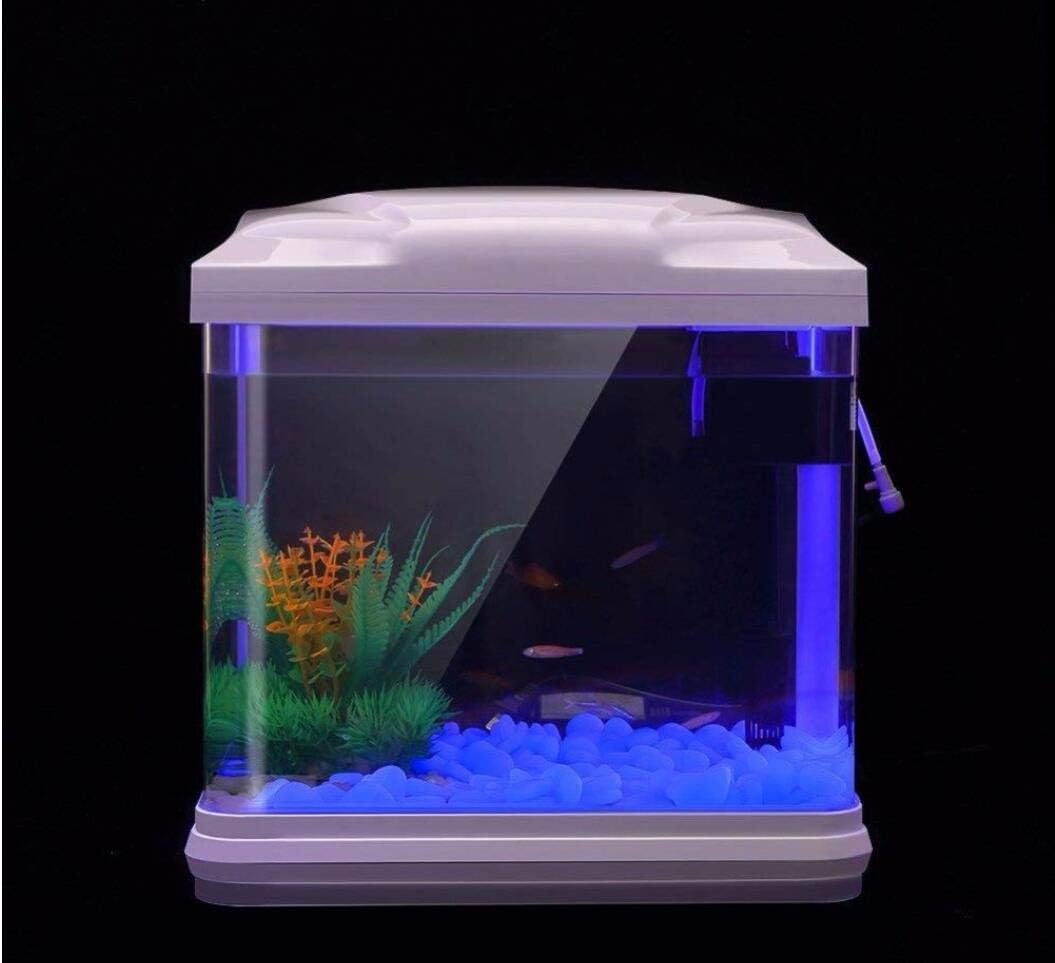 Roches d'aquarium scintillante - Bonsai Gardenia avis et prix